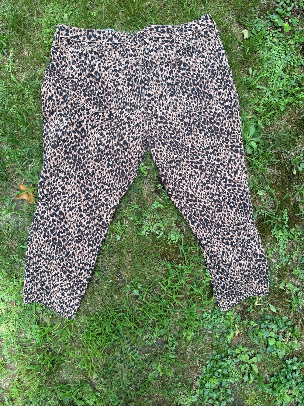 Terra & Sky Leopard Print Straight Leg Jeans - Tan & Black